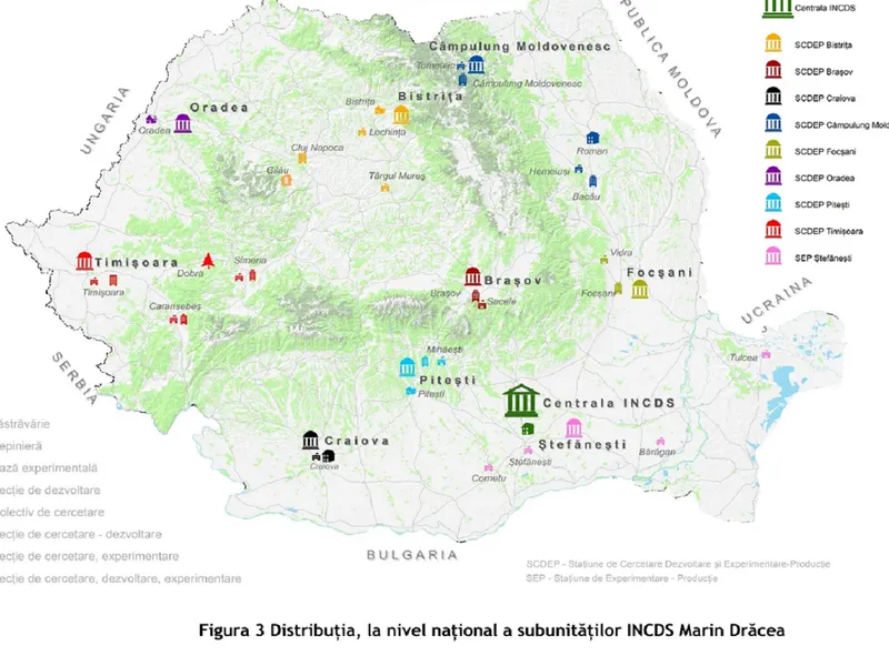 Directorul Institutului ce protejează pădurea: 30.000 lei salariu. Alți 832 angajați iau 15.000 lei