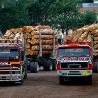 Lemne de foc la prețuri duble față de cele cerute de Guvern. Comercianții se plâng că nu fac profit - FOTO: Profimedia