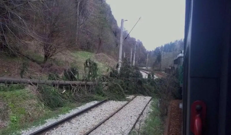 Trafic feroviar întrerupt, din cauza copacilor căzuți pe șine și a vremii nefavorabile. / Foto: digi24.ro