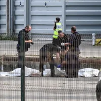 Naufragiu soldat cu cel puțin 12 morți, după ce o ambarcațiune cu migranți s-a răsturnat. Unde - Foto: Profimedia(imagine cu rol ilustrativ)