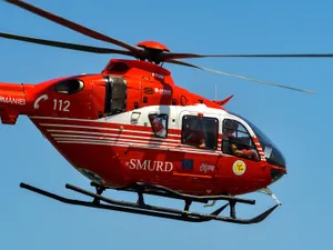 Copil de 7 ani mușcat de viperă în Maramureș. Salvat cu un elicopter SMURD  - Foto: Arhiva