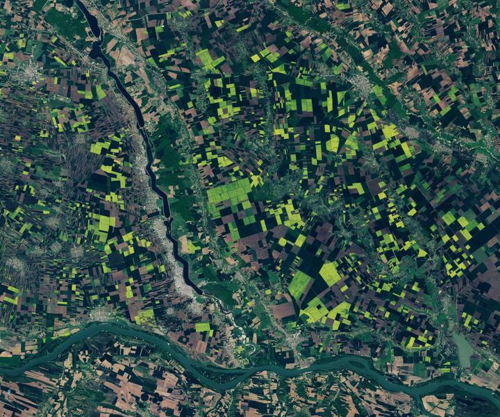 FOTO Cum arată „exploziile” de pe câmpurile agricole din sudul României surprinse de un satelit NASA
