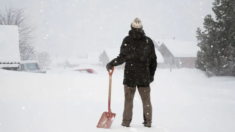 METEO Iarna își intră puternic în drepturi. România, sub un val de ninsori. Anunțul ANM - Foto: Profimedia images - Caracter ilustrativ