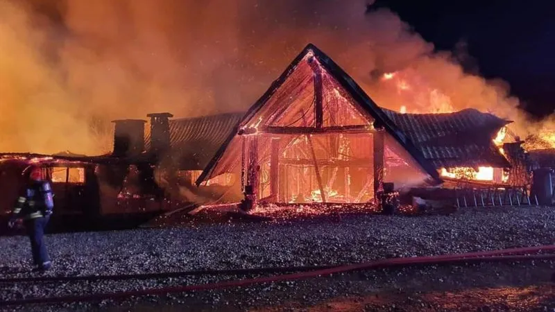 Mărturia unui apropiat al patronilor de la „Ferma Dacilor” ar putea da peste cap ancheta. Ce a zis? Foto: ISU