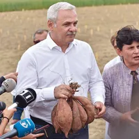 Noua guvernare PNL se chinuie să descâlcească moștenirea pesedistă și ridichile puse de oamenii lui Dragnea - Foto: INQUAM PHOTOS