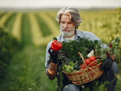 Comisia Europeană alocă 11.500.000 € fermierilor români afectați de vremea rea - Foto: Freepik (Imagine cu rol ilustrativ)