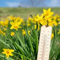 METEO Vremea se răcește considerabil zilele următoare! La ce ne putem aștepta și ce zone sunt vizate - Foto: Profimedia Images (imagine cu rol ilustrativ)