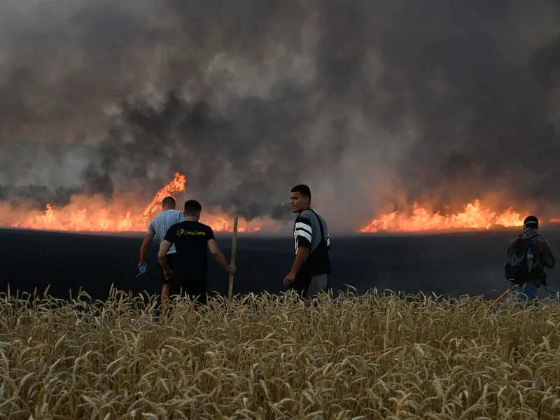 Incendii devastatoare în Bulgaria. Autoritățile cer ajutor - Foto: Profimedia Images