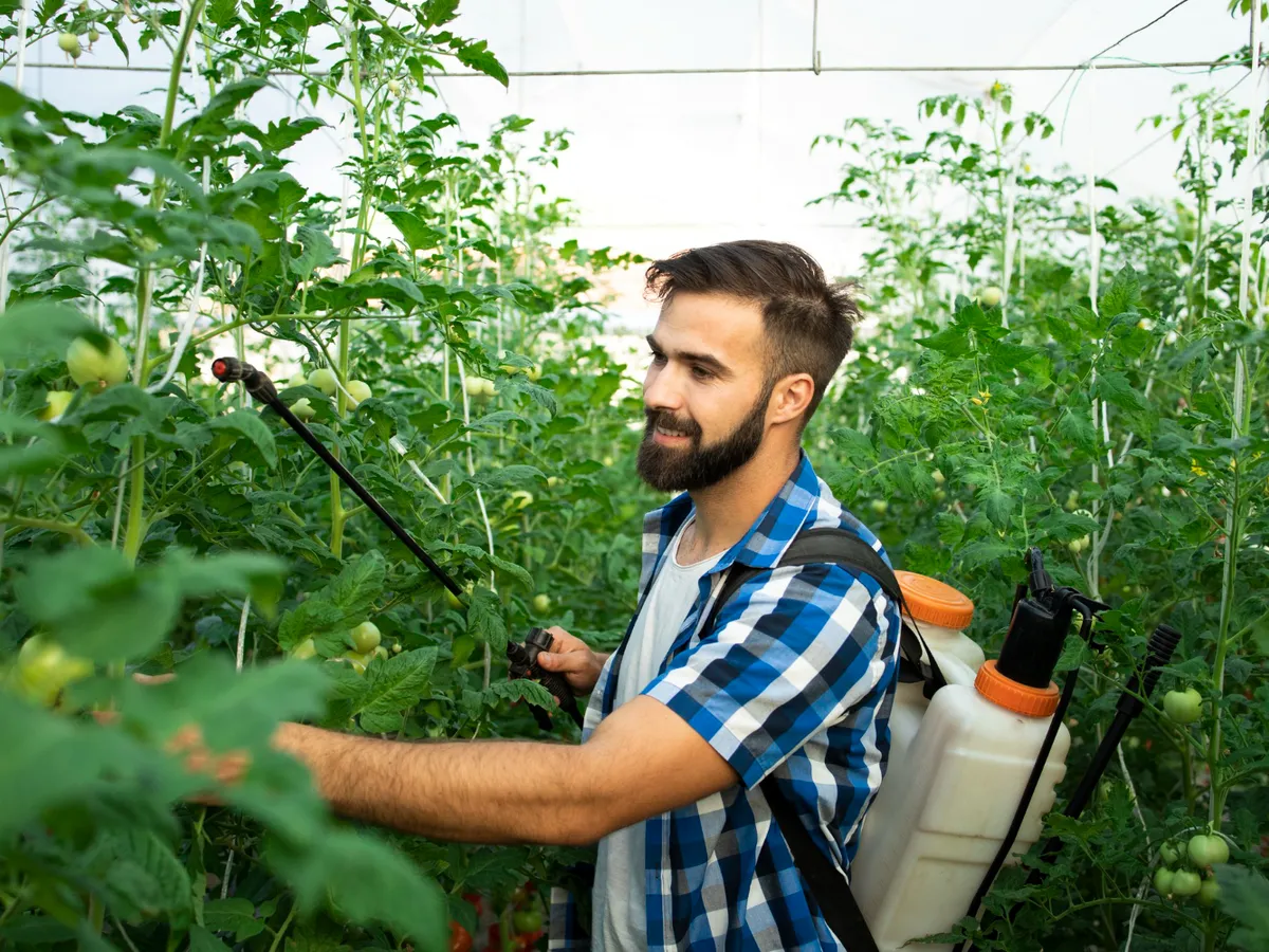 Erbicidare - Foto: Freepik