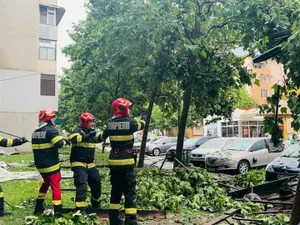 Furtună puternică în Capitală! Mai mulți copaci au fost doborâți de vântul puternic - Foto: ISU