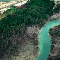 România va primi 11,9 miliarde de euro pentru climă. Energia verde și combaterea poluării, obiective Foto:  Profimedia Images (fotografie cu caracter ilsutrativ)