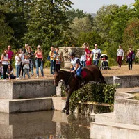 Karpatia Horse Show Foto: Ștefan Stoica