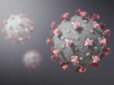 A apărut în Franța o variantă de coronavirus /foto: brown university