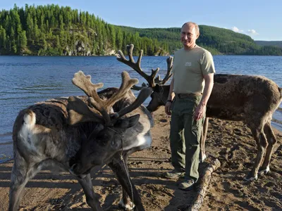 Vladimir Putin lângă câțiva cerbi - Foto: Profimedia (cu rol ilustrativ)