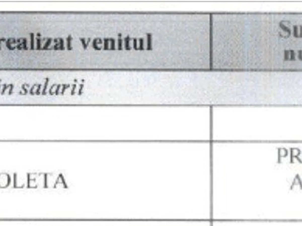 Salariu Violeta Răduț