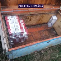 Foto: Poliția Română