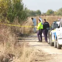 Polițiști pe câmp - Foto: presasm