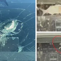 Accident neobișnuit. Un pește căzut din cer a spart parbrizul unei mașini: E un mesaj divin - Foto: X/ @MyCentralJersey
