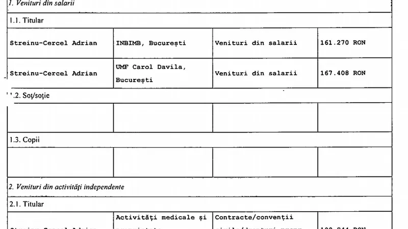 Sursa: Declarația de avere a lui Adrian Streinu-Cercel. Sursa: ANI