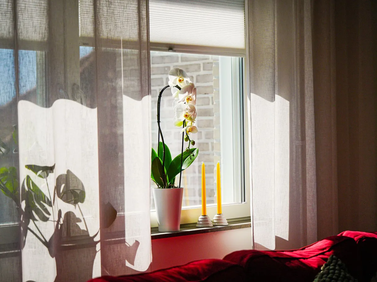 Perdele Foto: Pexels (imagine cu rol ilustrativ)