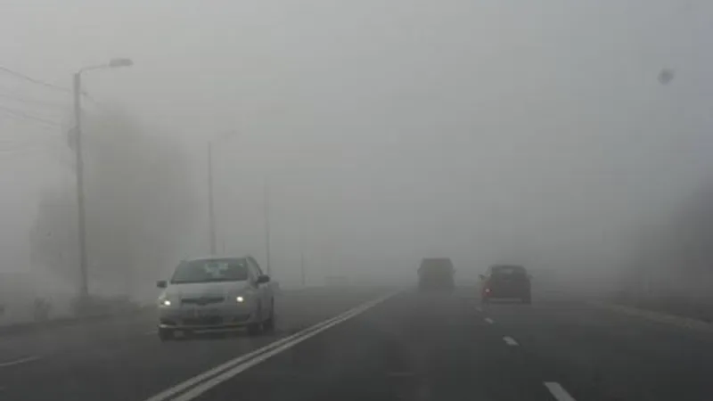 Cod galben de ceaţă - Foto: tvrmoldova