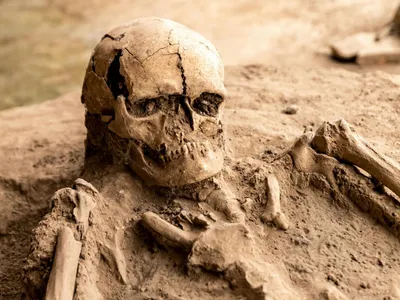 Craniul vechi de 300.000 de ani care schimbă toată istoria omenirii - Foto: Pexels (cu rol ilustrativ)