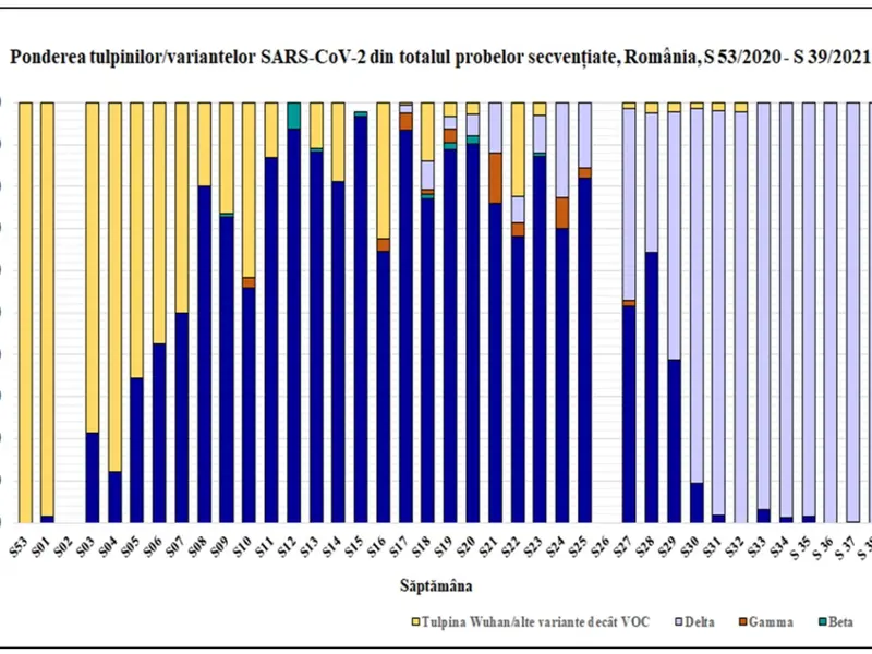 Evoluția infectărilor cu tulpini mutante. Sursa: INSP