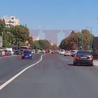 „Dorel” a marcat „DREPT” bulevardul Alexandru Lăpușneanu din Constanța - Foto: captură video
