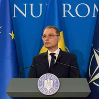 Luca Niculescu - Foto: Profimedia images