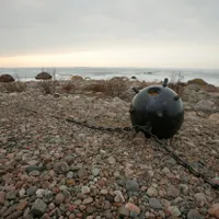 Mine marine - Foto: Profimedia images
