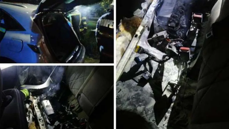 Un hibrid a fost stins în 3 ore de pompierii arădeni. / Foto: Aradon/ISU Arad