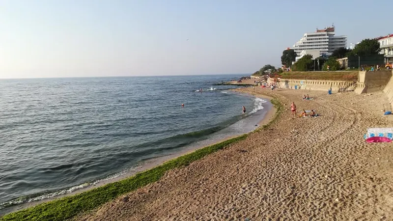Trei mii de tone de alge şi deşeuri au fost colectate de la începutul lunii iulie de pe plaje/FOTO: Facebook/Costinești