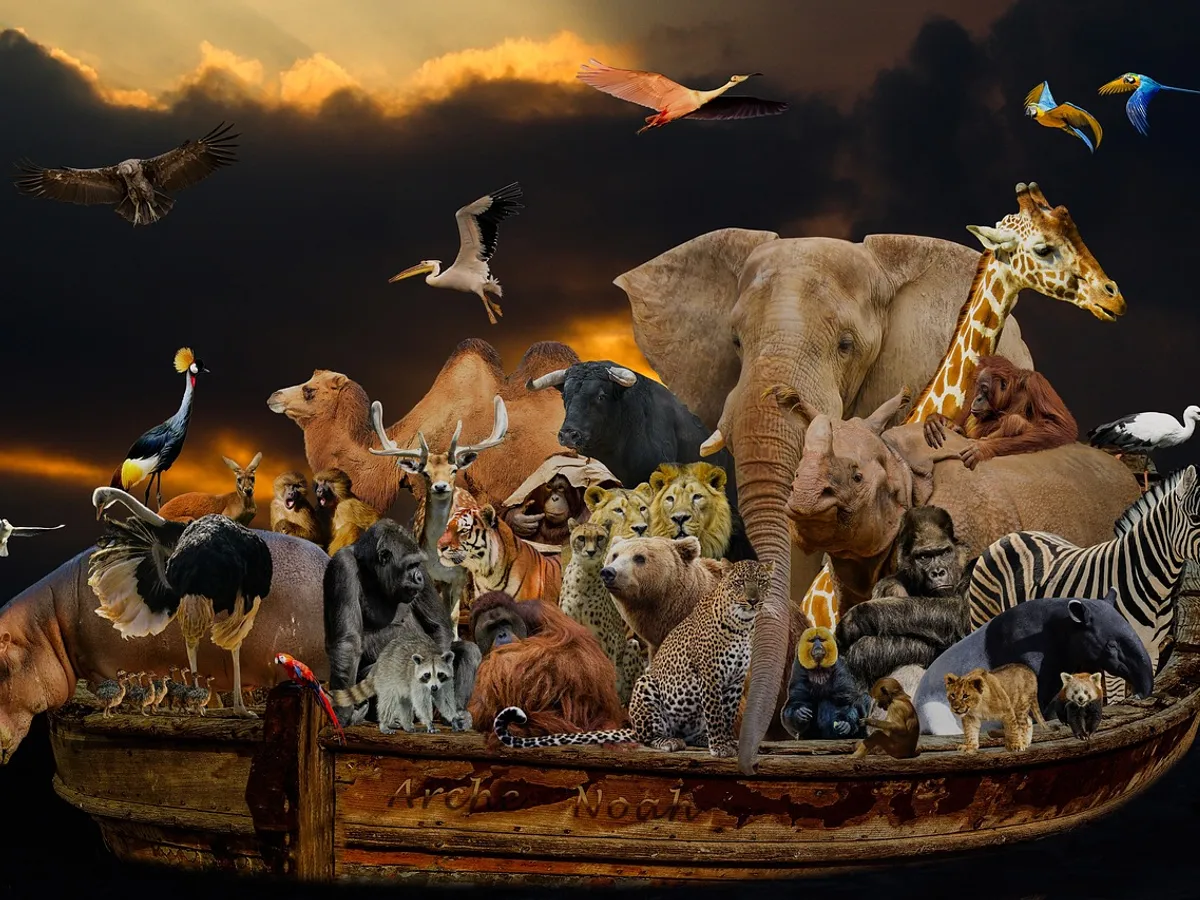 Cel mai bătrân animal din lume a trăit 507 ani - Foto: Pixabay (cu rol ilustrativ)
