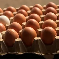 Ouă din două supermarketuri din țară retrase din cauza riscului de contaminare cu Salmonella - Foto: Freepik