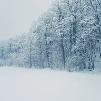 Zăpadă- Foto: PEXELS PHOTOS