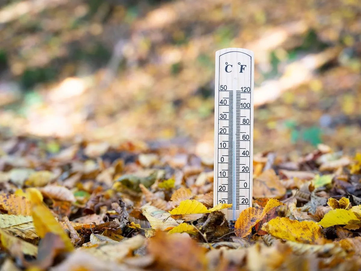 METEO. Vremea se schimbă din nou. Temperaturile cresc brusc apoi un nou val de frig cuprinde România - Foto: Profimedia Images