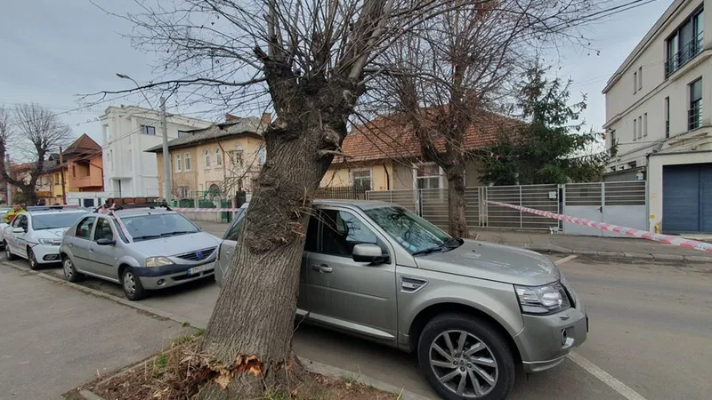 Copac căzut din senin pe o mașină în Sectorul 1 al Capitalei Foto: Newsweek Romania