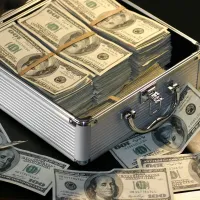 Consilier Județean cu 1.500 de euro/lună a strâns 115.000 euro pe care nu îi poate justifica / pexels