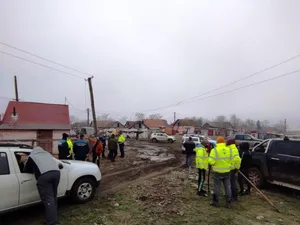 Căutarea copilului de 7 ani continuă/FOTO: IPJ Arad