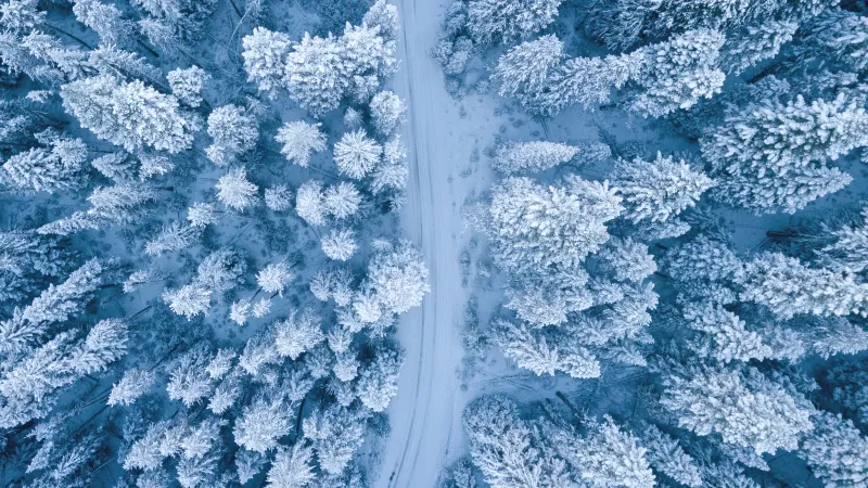VREMEA Țara din Europa unde „cea mai ridicată” temperatură este minus 20 grade. S-a ajuns și la -37C Foto: Pexels (fotografie cu caracter ilustrativ)
