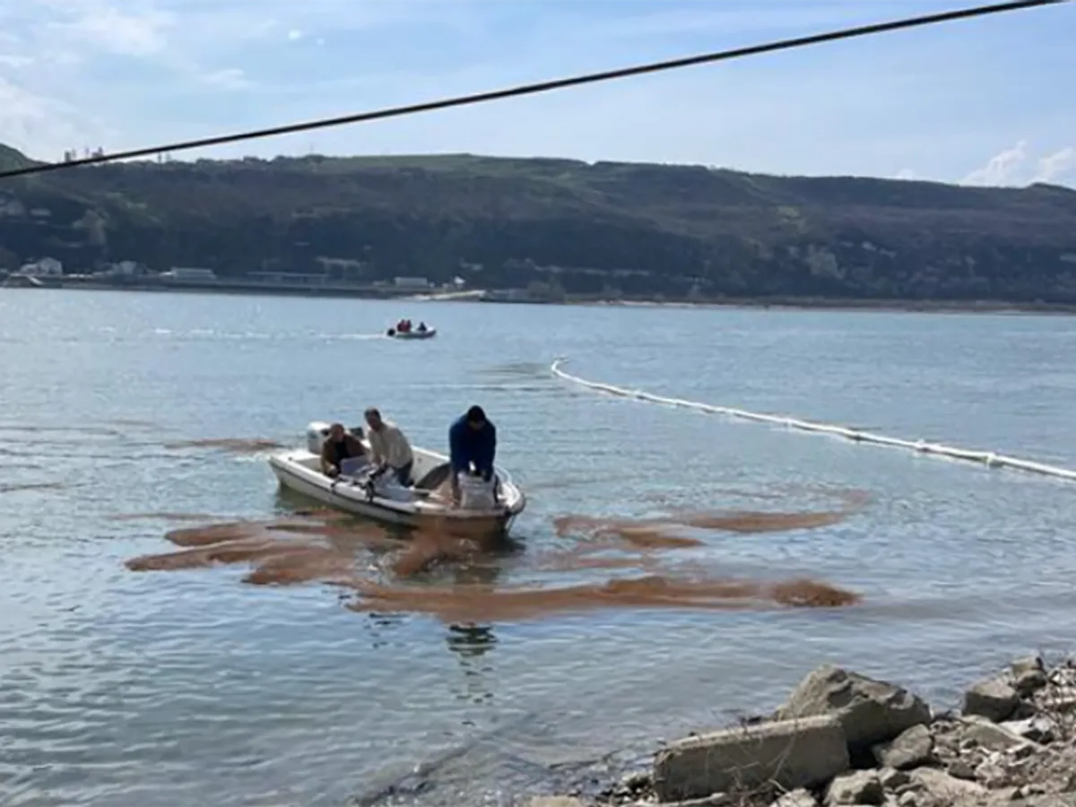 Poluare accidentală pe Dunăre, în zona Turnu Măgurele, după scufundarea unei nave