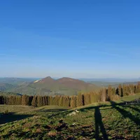 Argeș: 2 cerbi au fost măcelăriți, după ce ar fi fost împușcați de braconieri pentru carne. Foto Argeșul Online