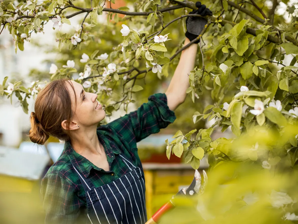 Românii primesc mii de euro de la stat dacă grădinile le-au fost afectate de vremea rea. Care sunt condițiile