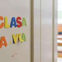 40% dintre profesorii din Călărași au luat sub 5 la titularizare. În Giurgiu - 32%, în Tulcea – 38% / Inquam