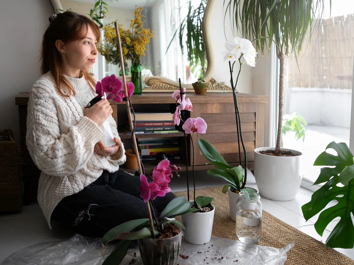 Plante de apartament - Foto: Freepik (Imagine cu rol ilustrativ)