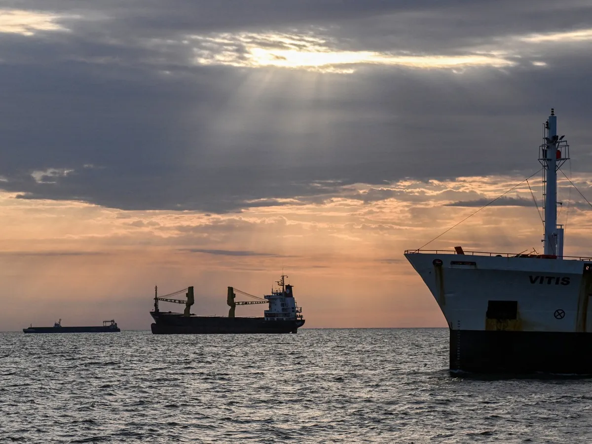 Nave ancorate în Marea Neagră așteaptă să intre pe canalul Sulina - Foto: Profimedia Images