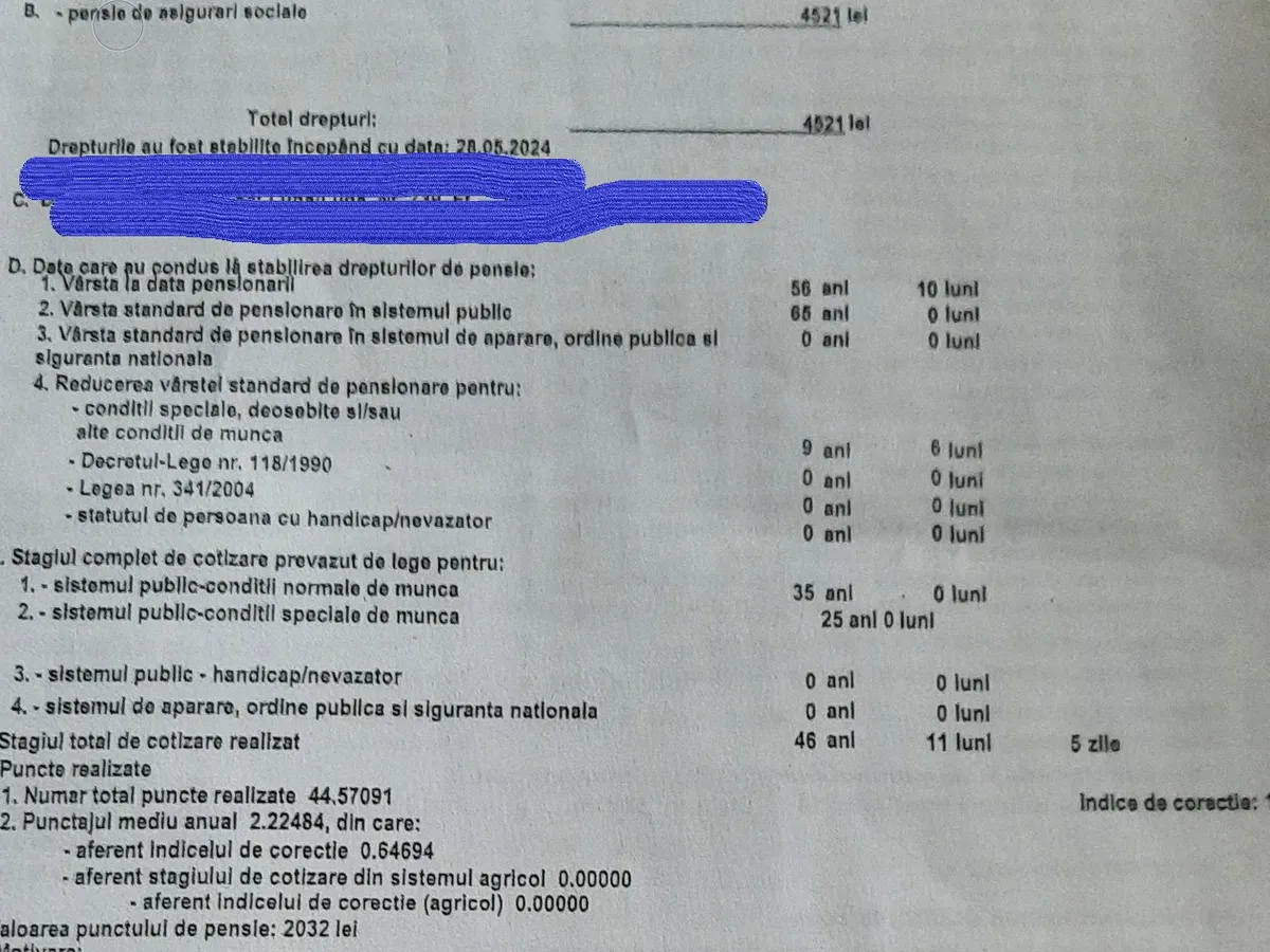Pensia pe 2024 - Foto: Forum
