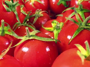 „pilula de tomate”/Foto: depositphoto