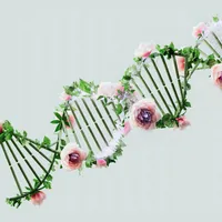 Un bărbat care își cerceta arborele genealogic a găsit 600 de rude dintr-o probă de salivă Foto: Pexels (fotografie cu caracter ilustrativ)
