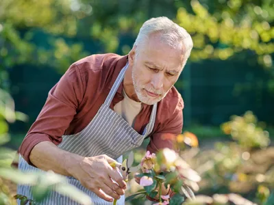 Bărbat care curăță o plantă - Foto: Freepik (Imagine cu rol ilustrativ)